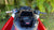 FuelTech FT600 Racing ECU on Hydrodrags Jet Ski ECU for PWC