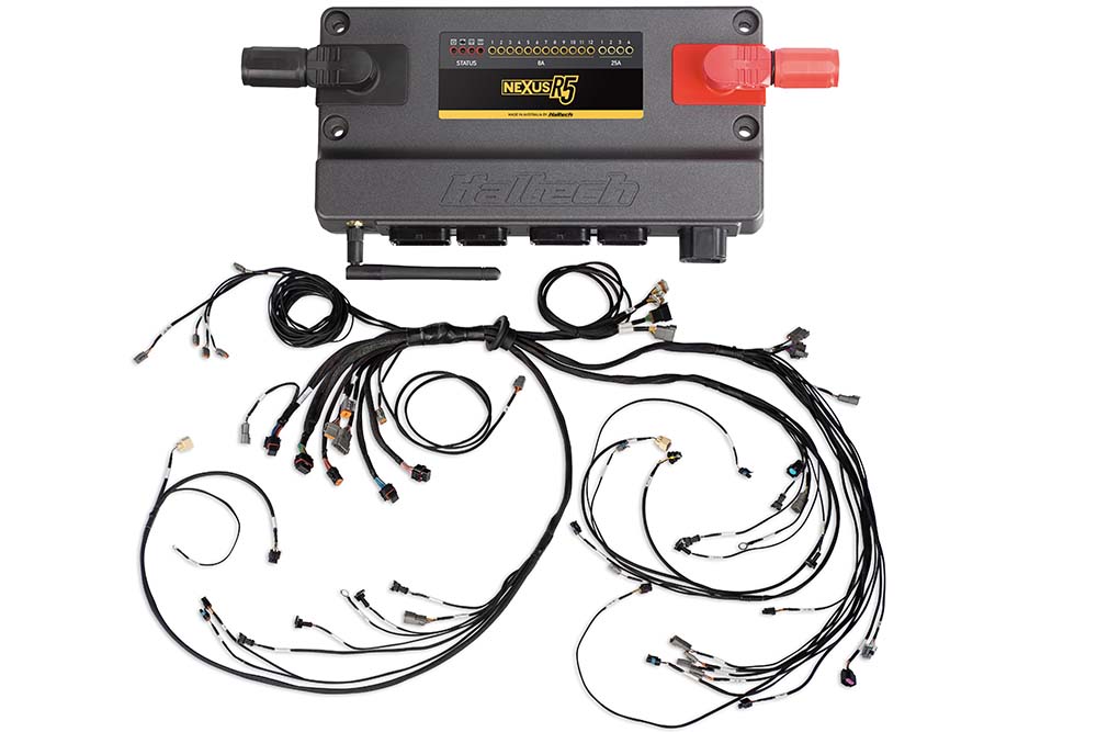 Haltech Nexus R5 + LSx DBW Terminated Harness Injector Connector: EV6 ...