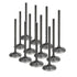 Supertech Toyota 1JZ Black Nitride Intake Valve - Set of 12 TIVN-1008-12