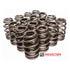 Ferrea Beehive Valve Springs for Toyota Supra 2JZ 2JZGE 2JZGTE