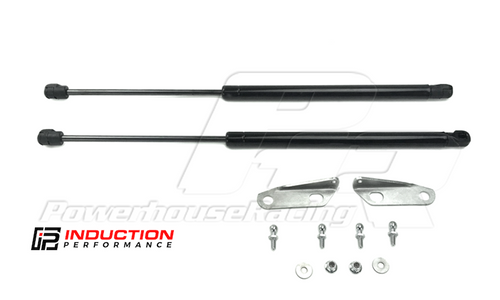 2-Pack Front Hood Lift Supports Gas Struts For 1991-1996 Buick Commercial Chassis – Stainless Steel