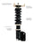 BC Racing BR Series Coilovers // Supra 93-98 // SC300 93-98 JZA80 JZZ30 - C-15